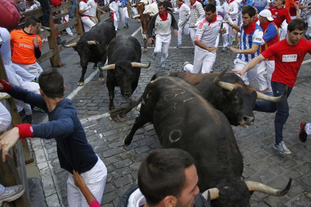 Pamplona, bikovi, Foto: Reuters