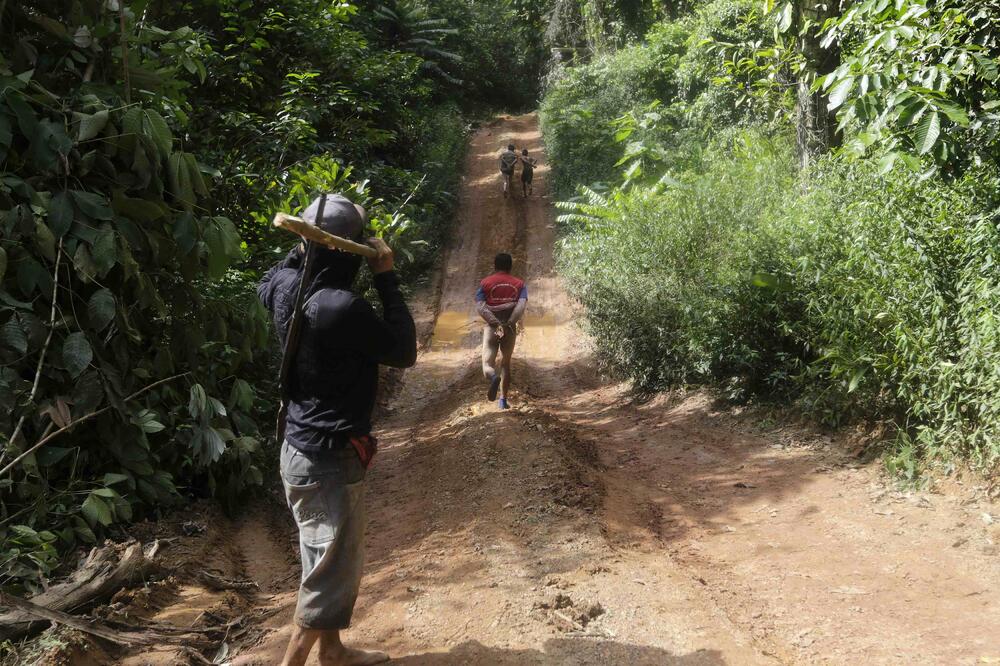 Amazon, Foto: Reuters