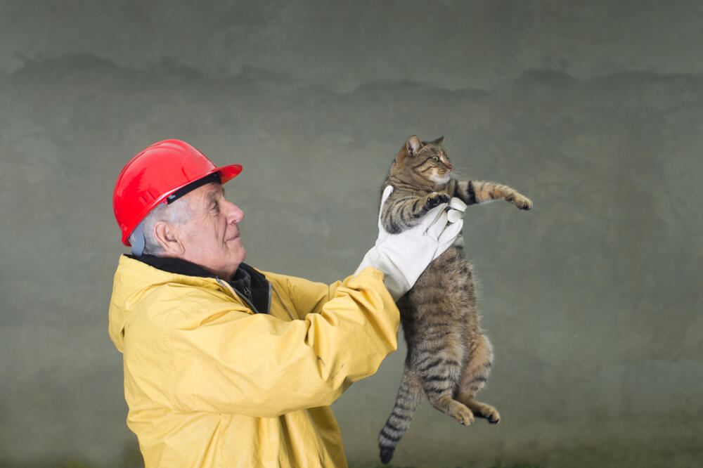 Vatrogasac, mačka, Foto: Shutterstock