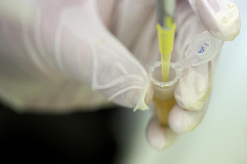 ebola, vakcina, Foto: Reuters