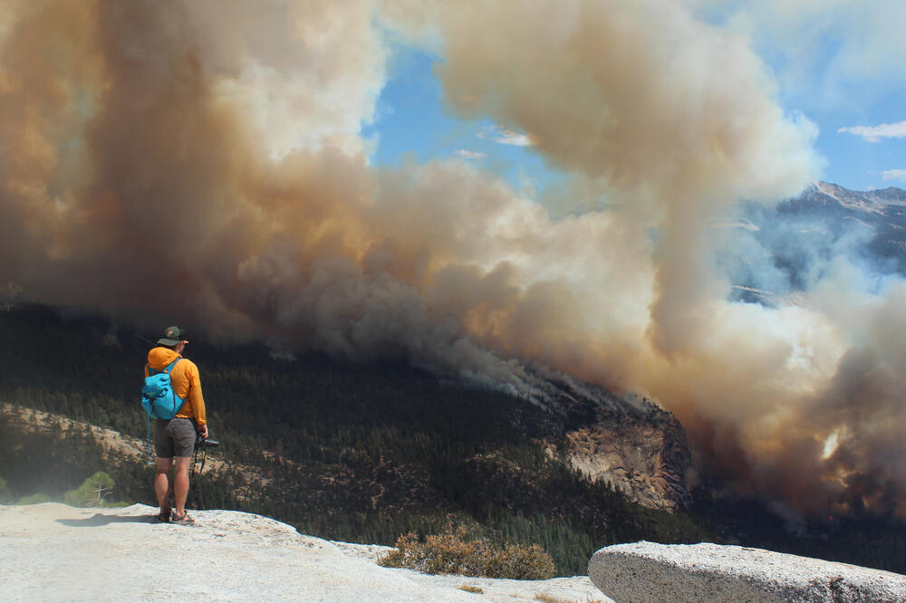 Detalj iz nacionalnog parka, Foto: Beta/AP