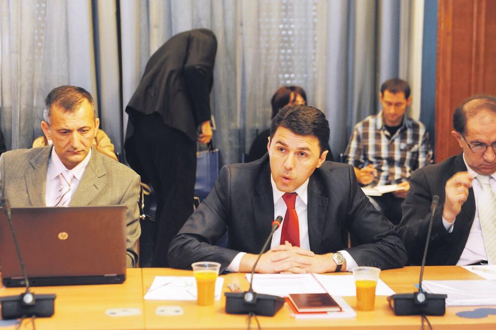 Predstavnici DRI-a, Foto: Savo Prelević