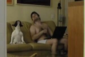 Pas i vlasnik igraju u ritmu muzike