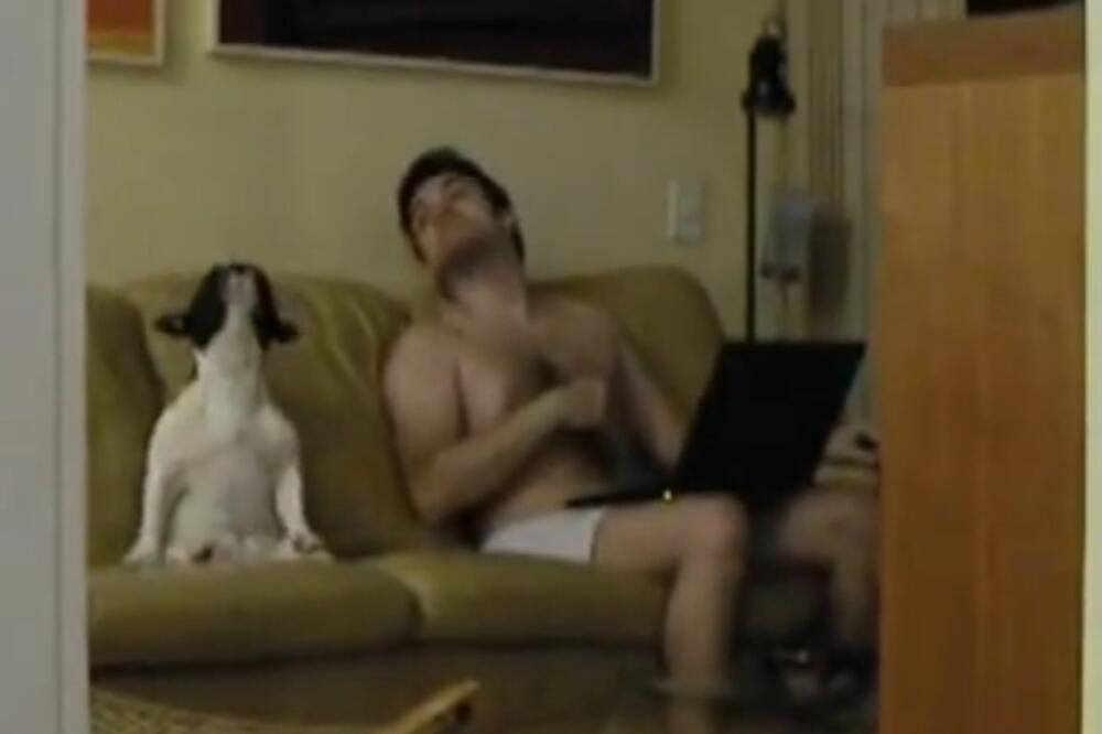 Pas sa vlasnikom pleše uz muziku, Foto: Screenshot (YouTube)