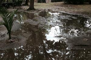 Fekalije preplavile gradski park u Budvi, širi se nesnosni smrad