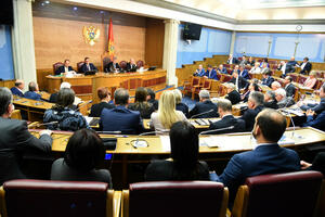 Poslanici 1. marta odlučuju o prijemu Skoplja u NATO