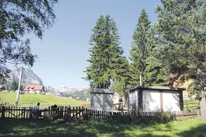 Predio, sa ožiljkom