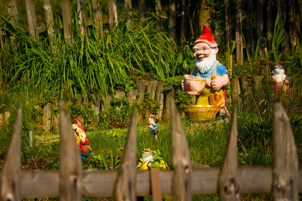 patuljak, Foto: Shutterstock