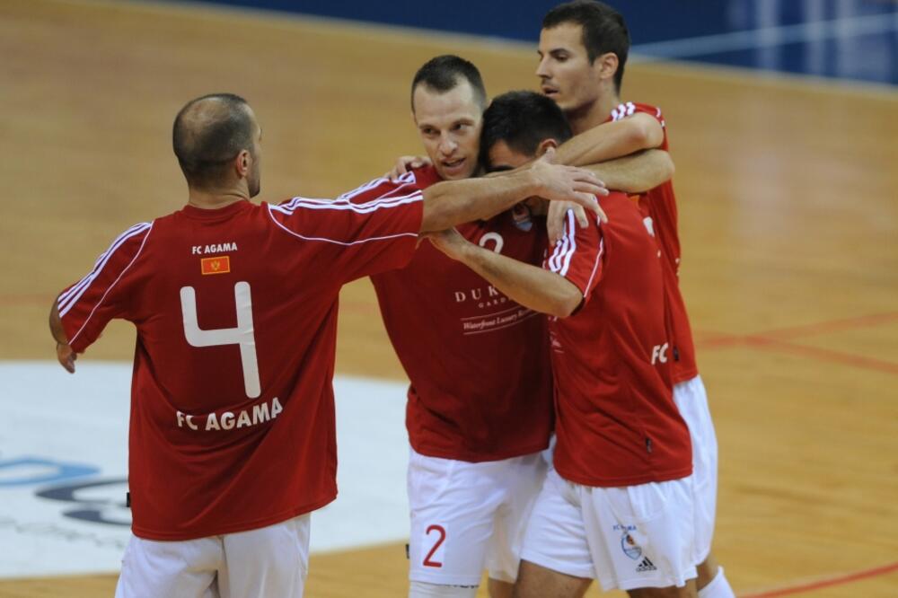 Agama, Foto: Savo Prelević