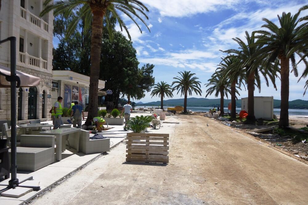 Pine, Tivat, Foto: Siniša Luković