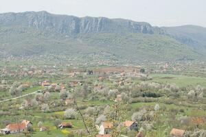 Nikšić: Povrijeđen prilikom sječe šume