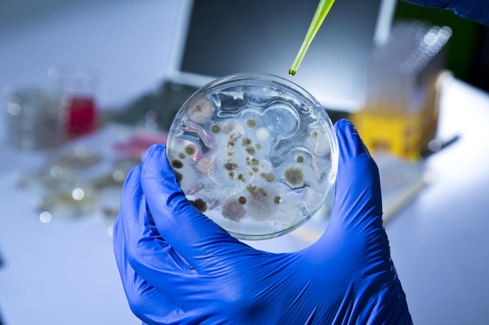 ebola, laboratorija, Foto: Shutterstock