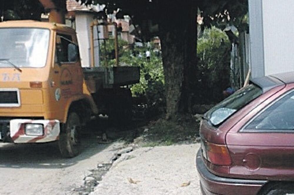 Pljevlja, kesten, Foto: Goran Malidžan