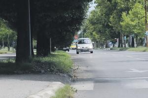 Podgorica: Krošnje zaklanjaju pogled na bulevaru