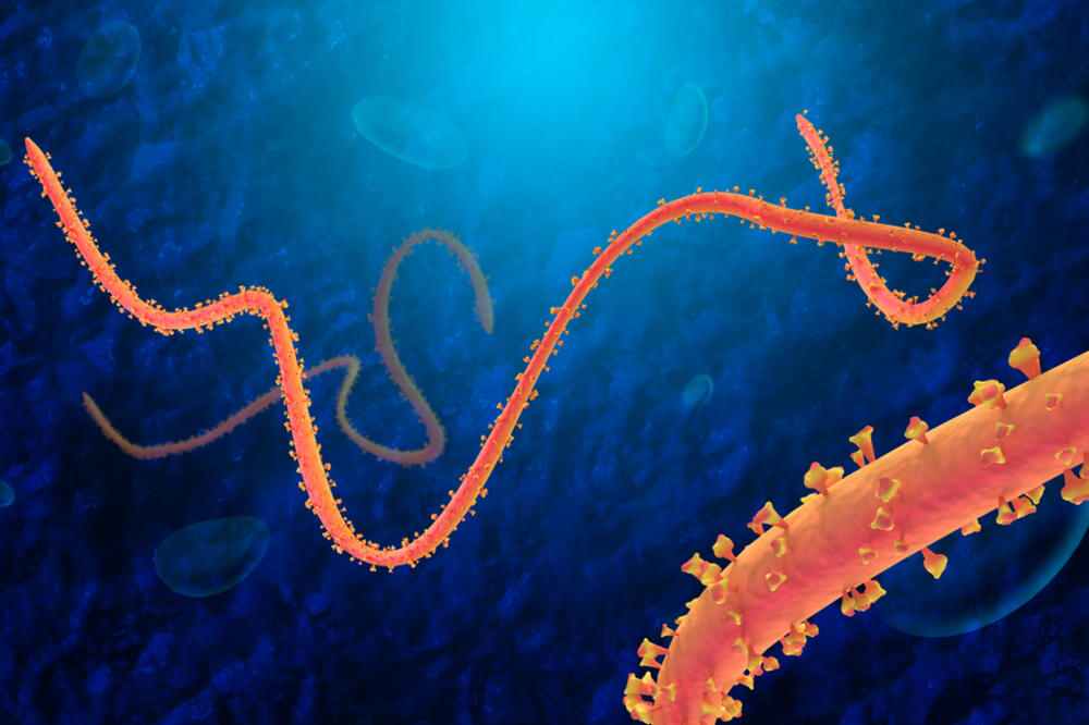 Ebola, Foto: Shutterstock