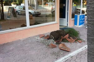 Nepoznati vandali uništili vaznu i cvijeće ispred TO Tivat