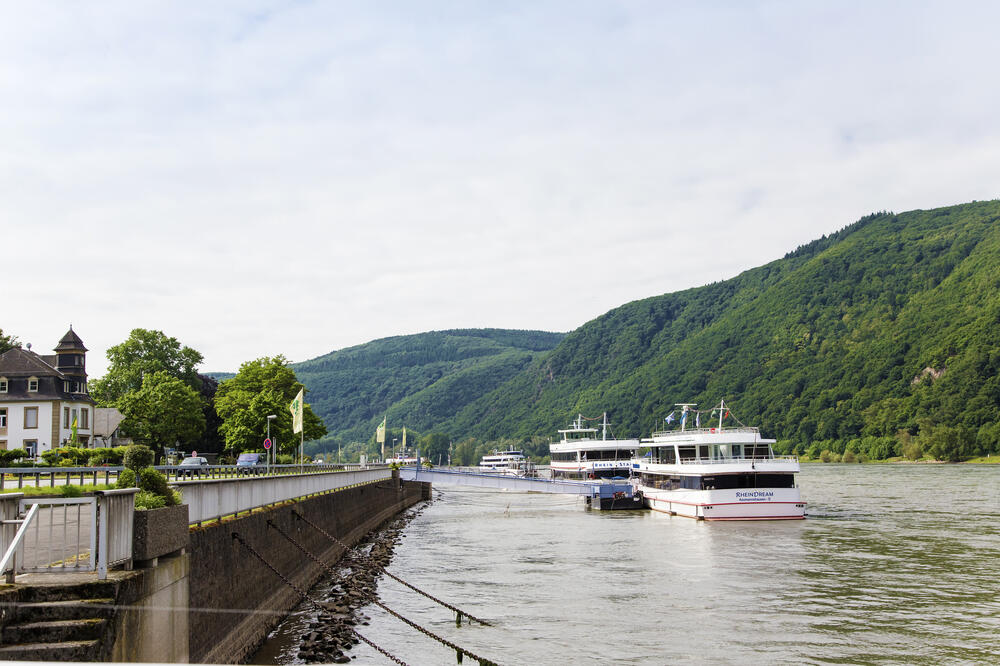 Rajna, Foto: Shutterstock