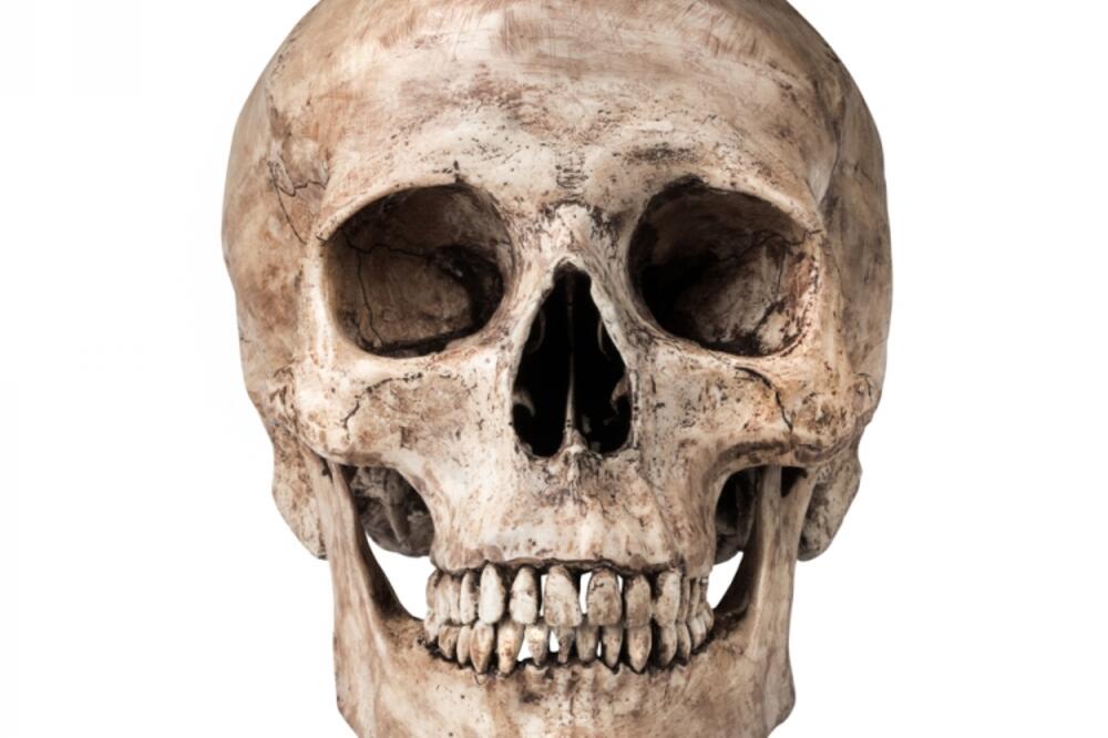 lobanja, Foto: Shutterstock