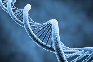 Naučnici sa Oksforda: Većina ljudskog DNK je beskorisna