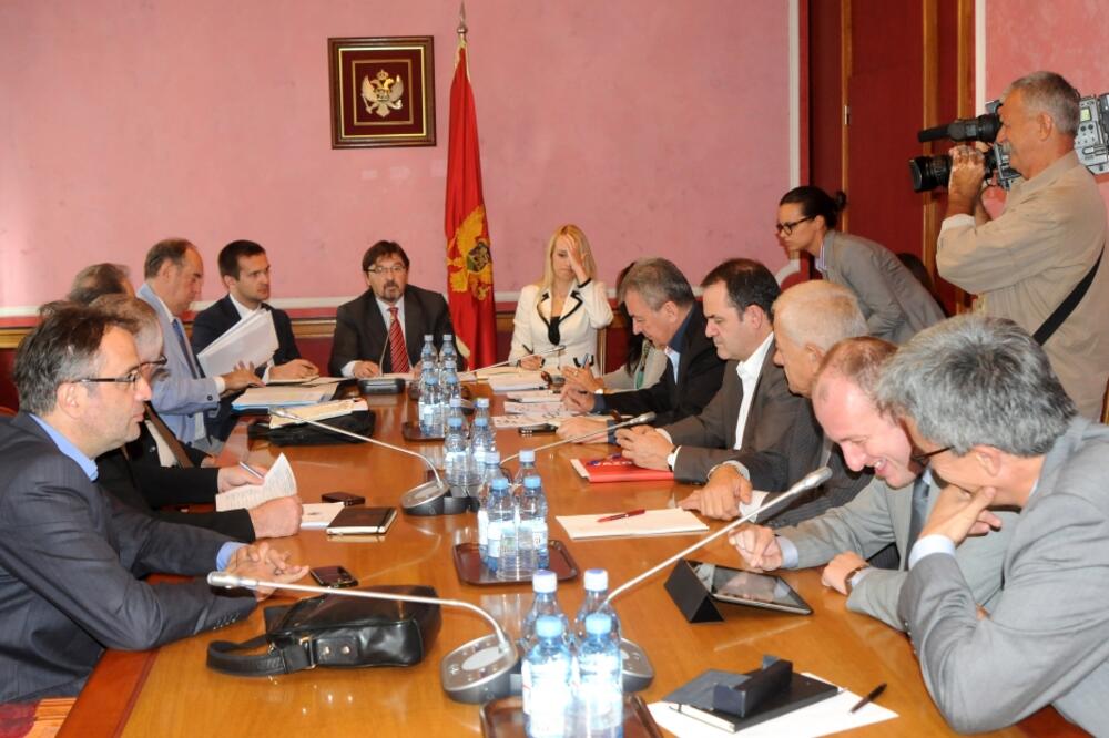 Odbor za međunarodne odnose, Foto: Boris Pejović