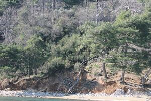 Javno dobro: Zakupac plaže Mogren I je Mladen Kažanegra