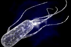 Karantin u kineskom gradu zbog kuge