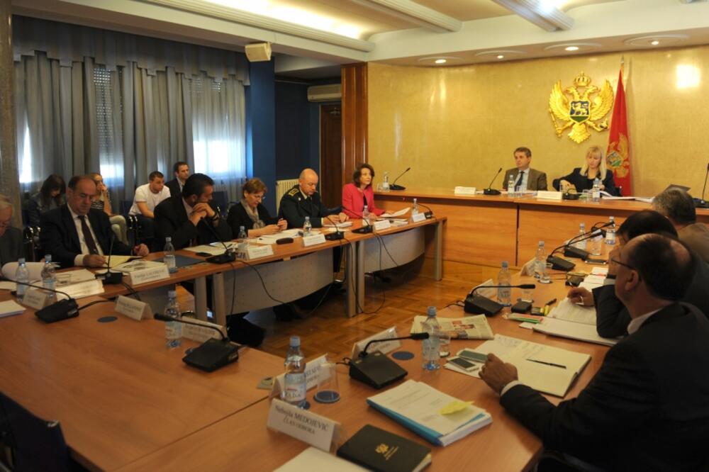 Odbor za bezbjednost, Foto: Savo Prelević