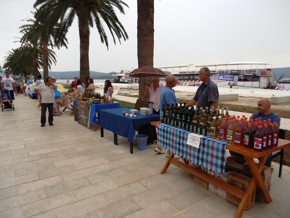 Bokeška maslina, Tivat,