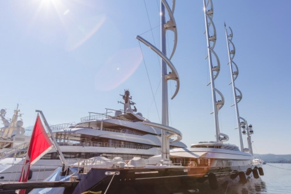 maltese falcon, Foto: Siniša Luković