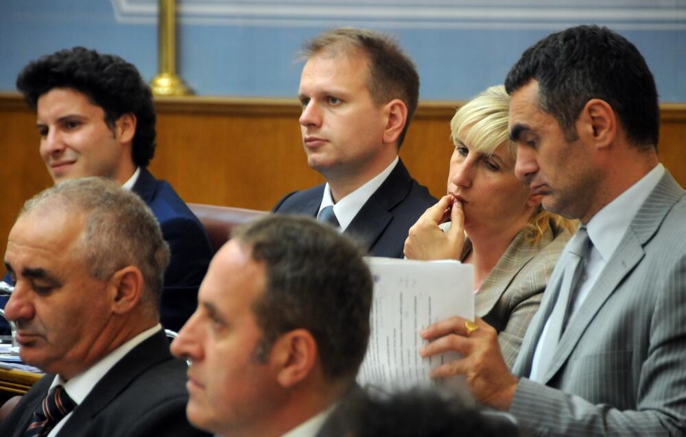 Skupština, poslanici