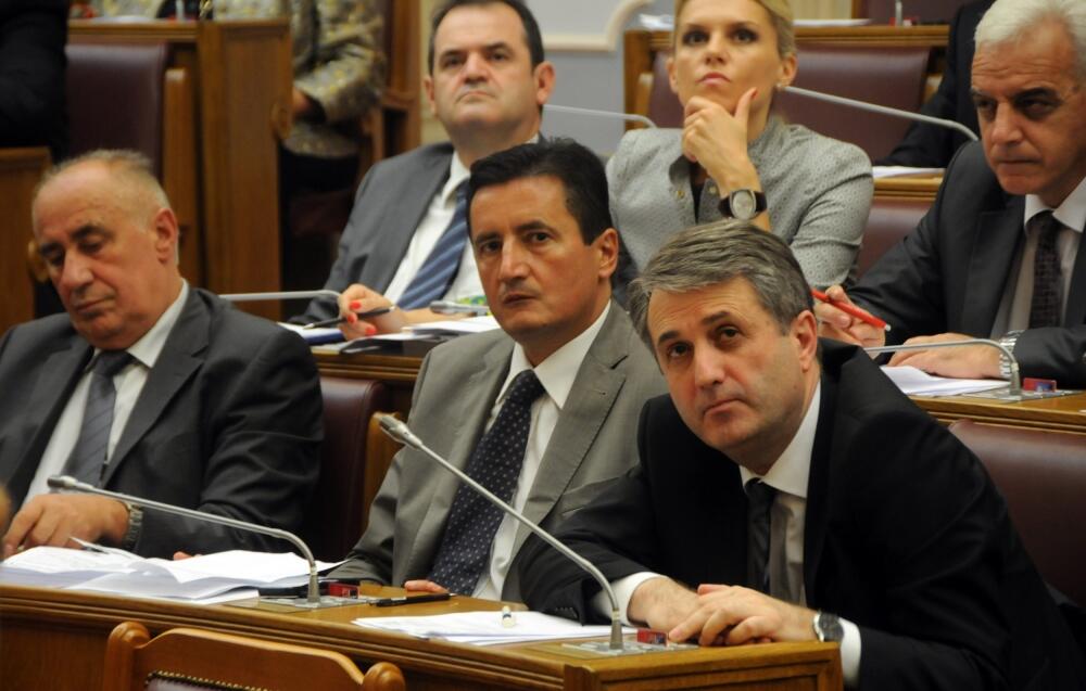 Skupština, poslanici