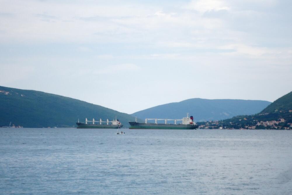 brod Ljuta, brod Dobrota, Foto: Siniša Luković