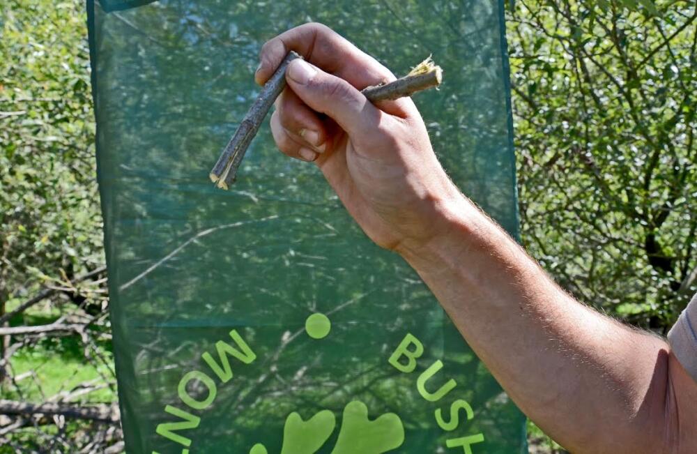 Bushcraft Montenegro