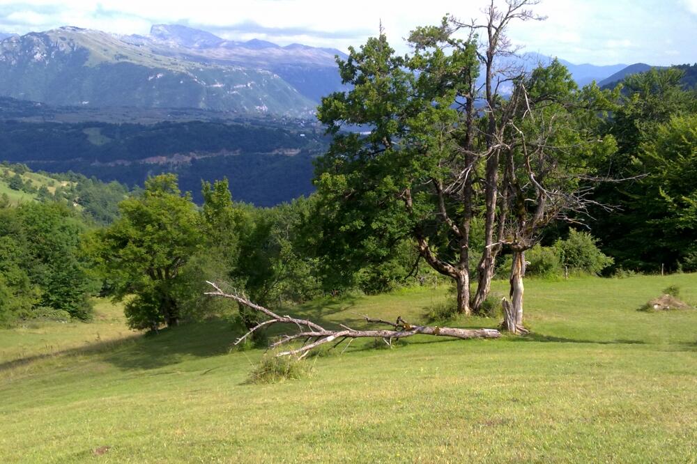 Piva, Foto: Dušan Cicmil