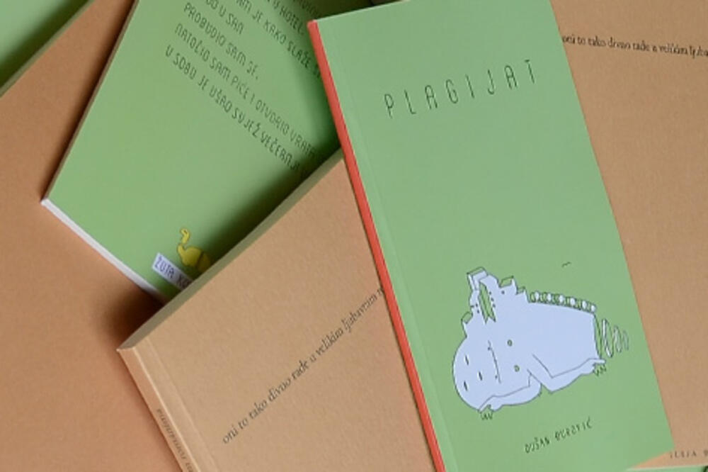 Žuta kornjača, Foto: Privatna arhiva