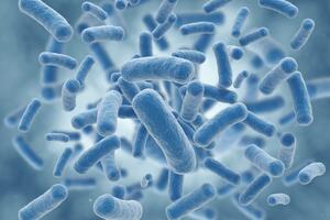 SAD: Nađene zaboravljene kutije sa klicama smrtonosnih velikih...