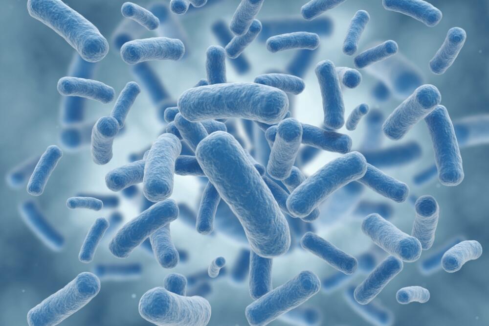 Virus, Foto: Shutterstock