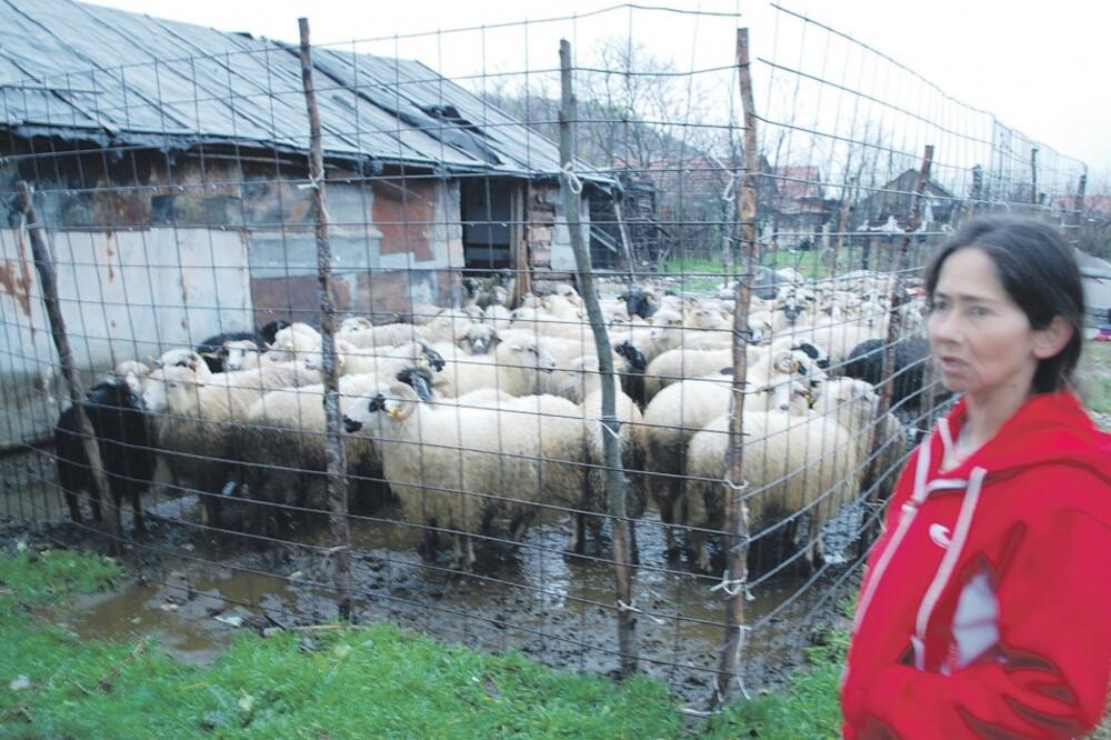 Slavka Adžović, Foto: Ivan Petrušić