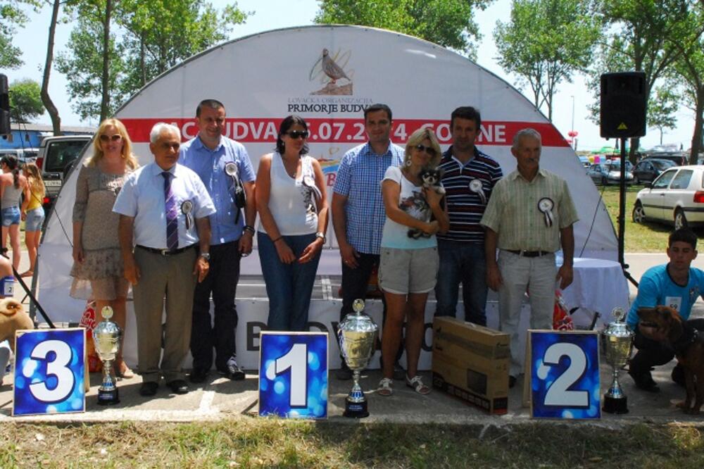 Izložba pasa, Foto: Vuk Lajović