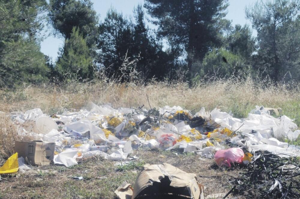 Zelenika, park, smeće, Foto: Vesko Belojević