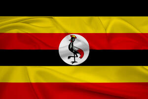 Vojska Ugande ubila 41 napadača