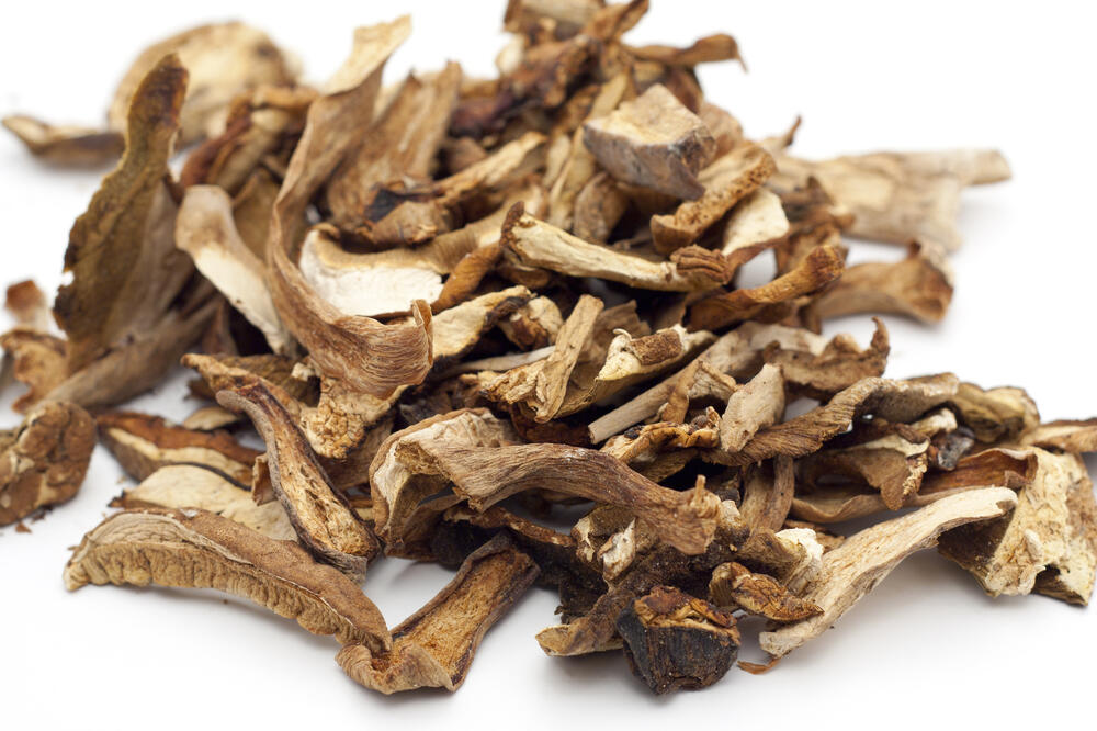 pečurke, Foto: Shutterstock