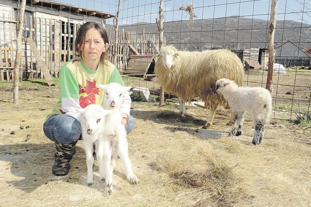 Slavka Adžović, Foto: Ivan Petrušić