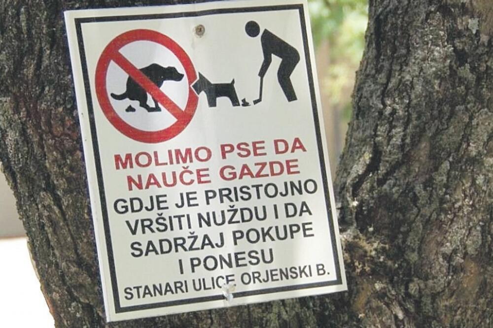 psi plakat Herceg Novi, Foto: Slavica Kosić