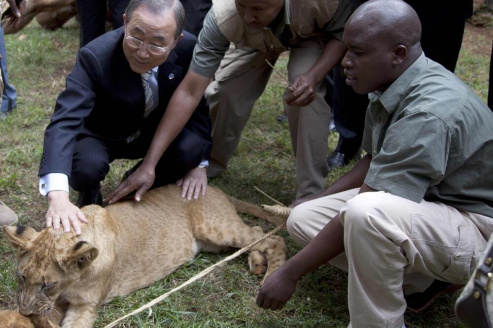 Ban Ki Mun, lav, Foto: Reuters