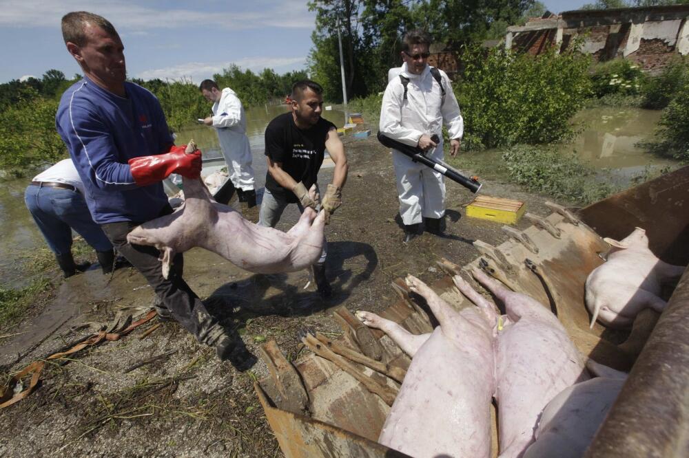 Bosna poplave, selo Prud, Foto: Reuters