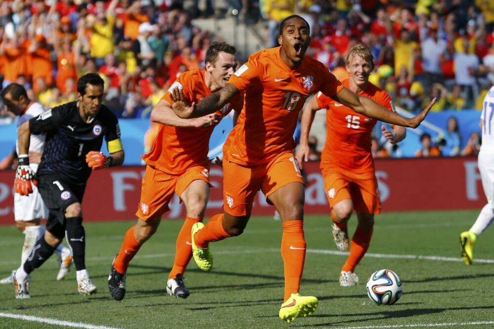 Leroj Fer, Holandija, Foto: Reuters