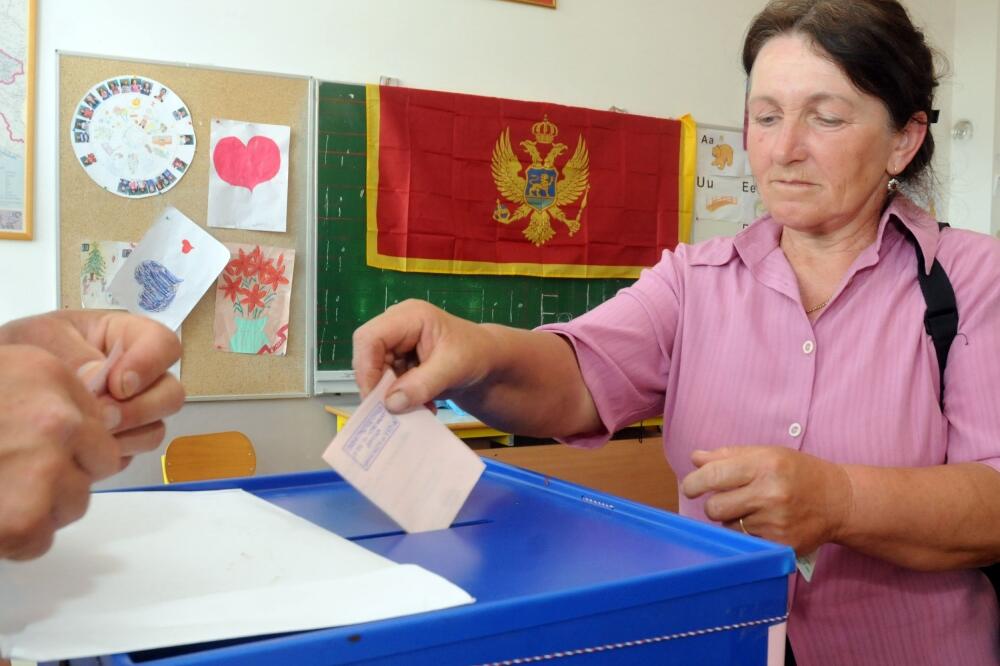 Dinoša izbori, Foto: Luka Zeković