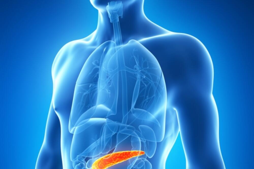 pankreas, Foto: Shutterstock