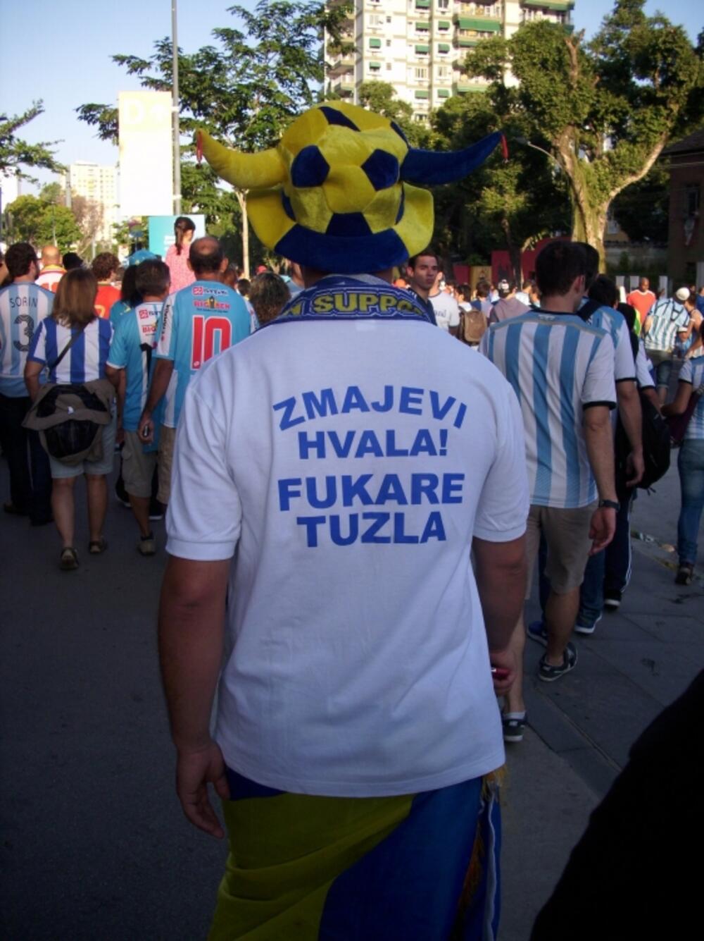 Bosna i Hercegovina, navijači